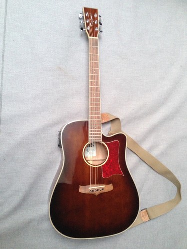 Tanglewood winterleaf tw5 - winterleaf, wb