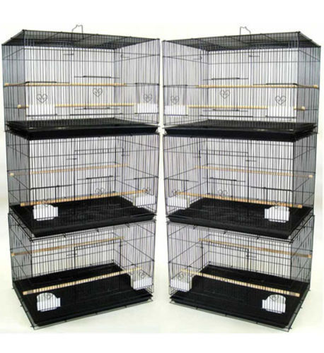 Lot aviary breeding bird - of,