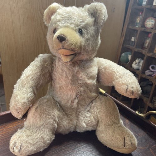 Vintage teddy bear berg - teddy,