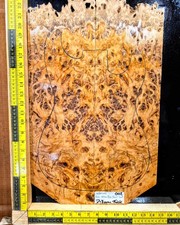 Australian Yellow Box Guitar