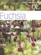 David Clark: Fuchsia