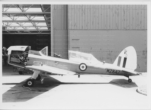 Havilland chipmunk - chipmunk,