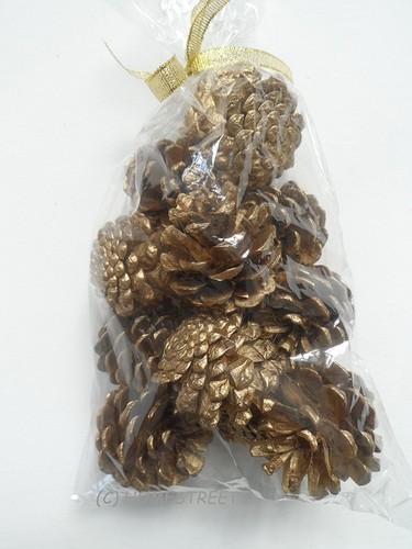 Pack small christmas pine - pack,