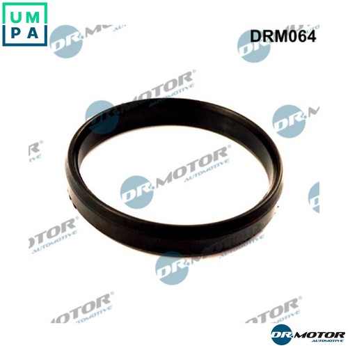 Gasket throttle body - gasket,
