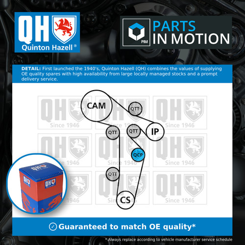 Timing belt kit fits - belt,