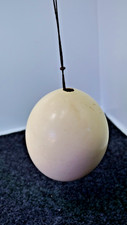 Vintage Ostrich Egg on hanging cord