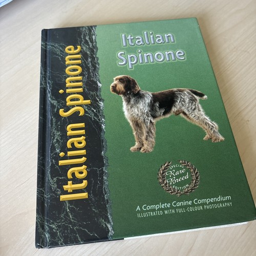Italian spinone - italian, s.)