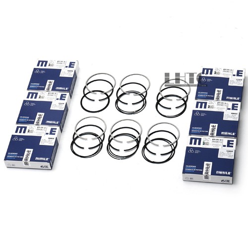 6pcs piston ring set std - 6pcs,