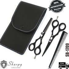 Hairdressing Thinning Scissors