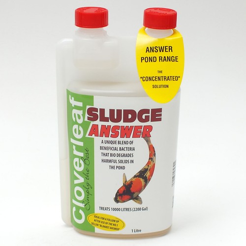 Cloverleaf sludge answer - answer, 1
