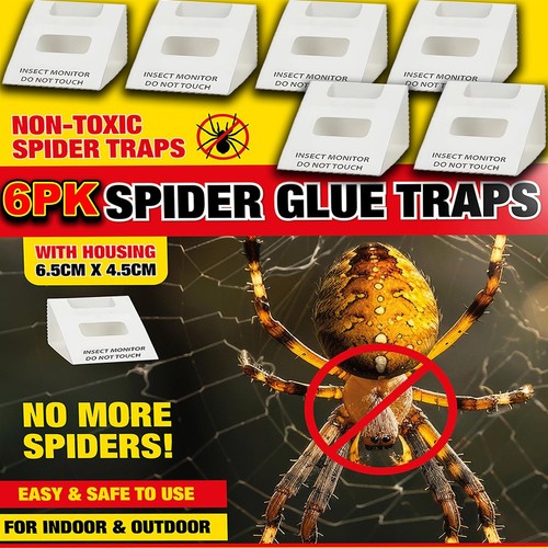 Spider killer traps poison - spider,