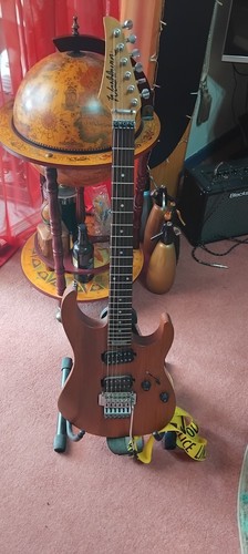 Vintage 1993 washburn - vintage,