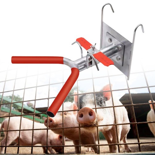 Livestock instrument - livestock,
