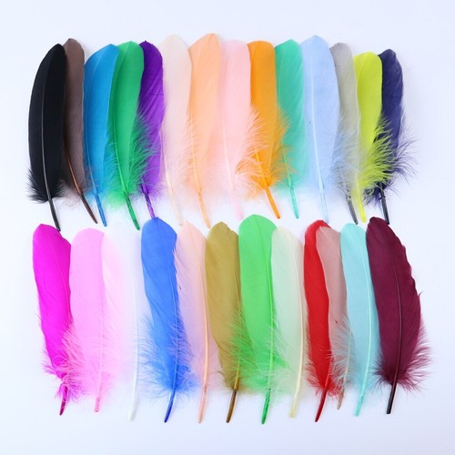 Dyed goose feathers - dyed,