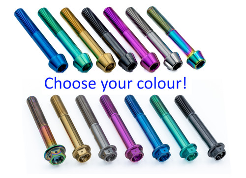 Titanium brake caliper bolts - titanium,