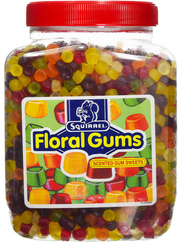 Squirrel floral gums - floral, full