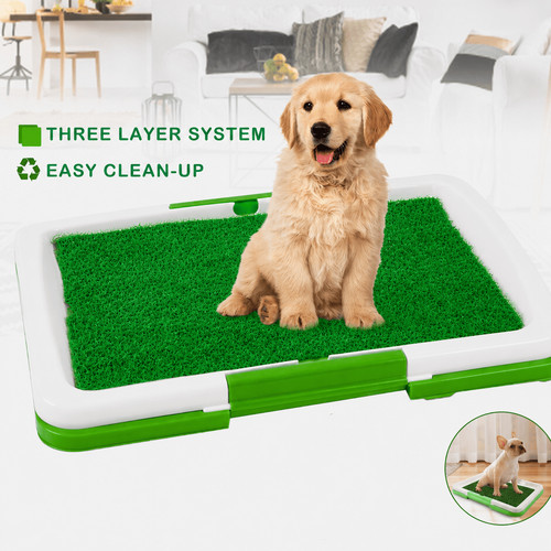 Dog grass pad with - grass, tray,