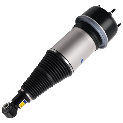 Rear air spring suspension - rear,