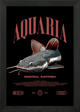 Redtail Catfish Fish Keeper Fish Ro Framed Wall Art Poster Canvas Print Picture