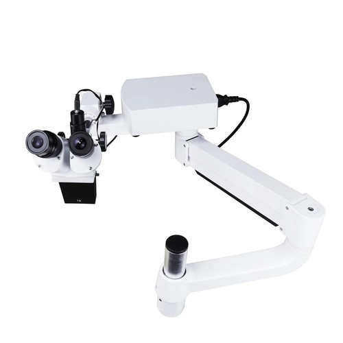 Dental binocular microscope - binocular,