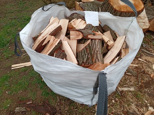 Unseasoned logs fire wood - logs, /