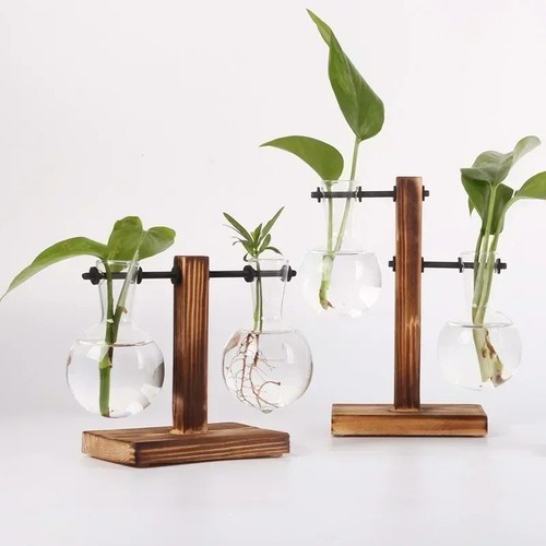 Plant propagation station - plant,