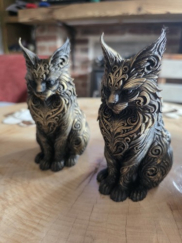 Manecoon cats pair of - cats,