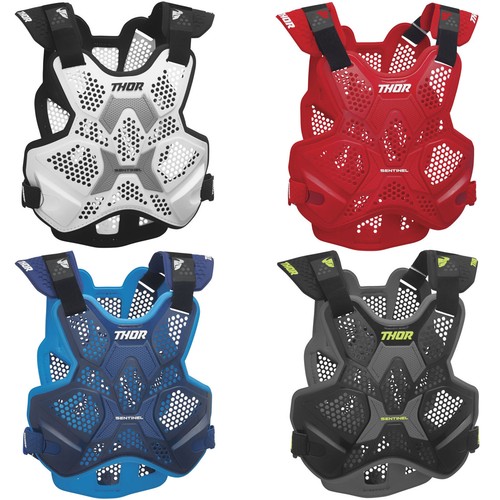 Thor sentinel pro - sentinel, ltd