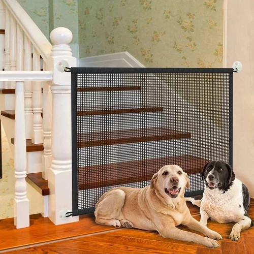 Folding pet dog retractable - pet,