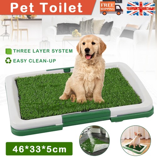 Pet dog toilet mat - mat, indoor