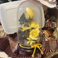 Glass Display Cloche Bell Jar Dome Flower Immortal Vintage 8.5” High