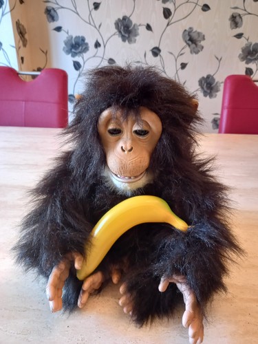 2007 furreal large - furreal,