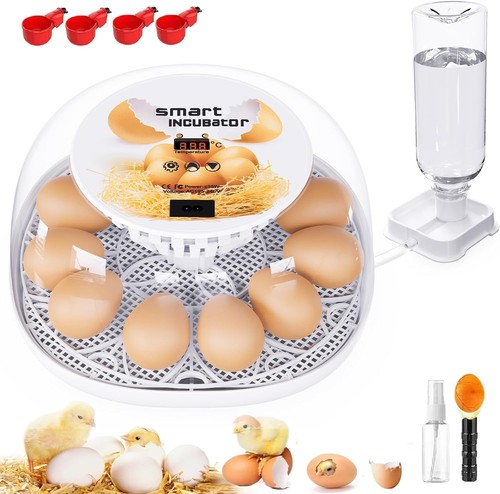 Egg incubator automatic - egg,