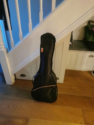 Maroon guitar ashton gg12 - ashton, am