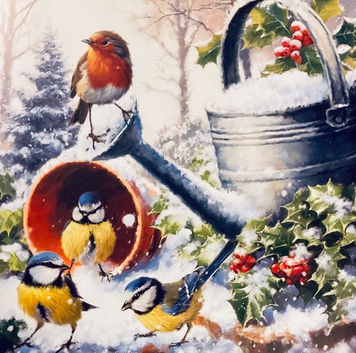 Christmas card garden - ~, birds