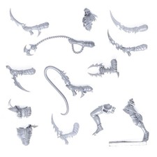 Wyches spares - Dark Eldar