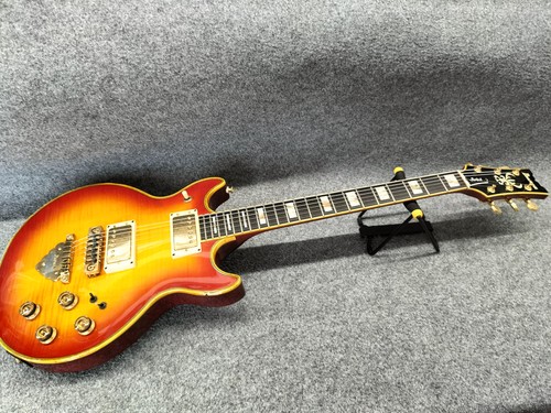 Ibanez electric guitar - electric,