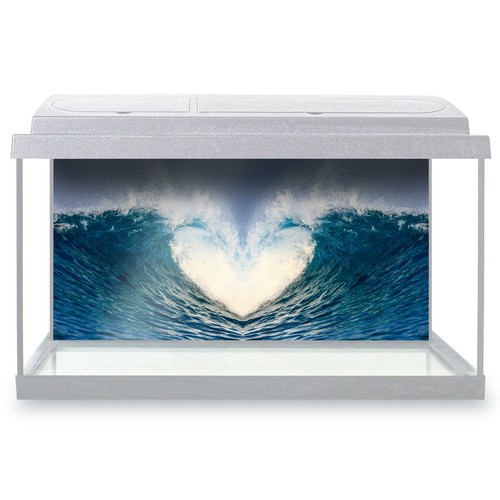 Fish tank background 90x45cm - fish,