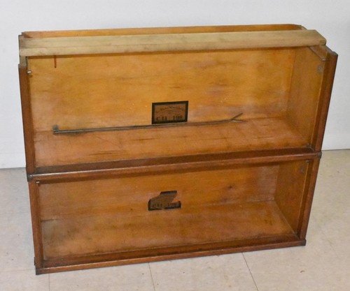 Two globe wernicke - globe,