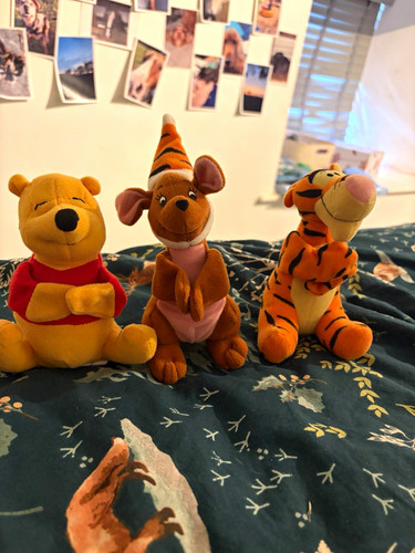 Disney winnie the pooh - the,