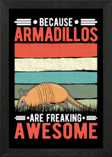 Armadillo Gift Framed Wall Art