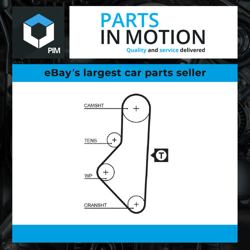 Timing belt fits citroen - belt,