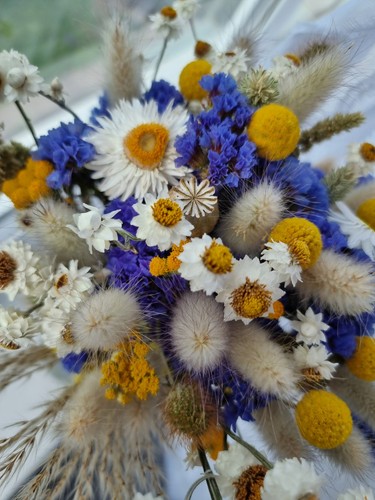 Dried flowers blue - -, &