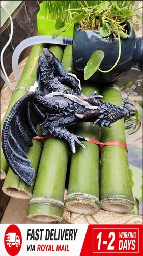 Garden dragon statue outdoor - garden,