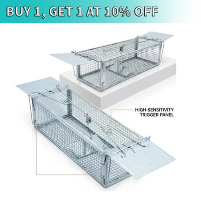 Rat trap squirrel door mouse - squirrel, 2
