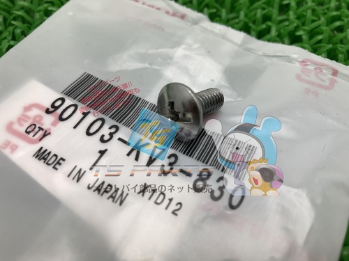 Nsr250r under cowl bolts - bolts, in
