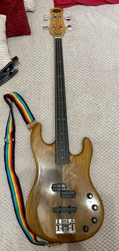 String electric bass - string,