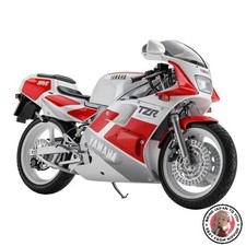 NEW 1/12 Yamaha TZR250 3MA