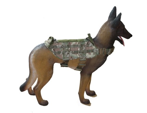 Onie canine special operations - canine,