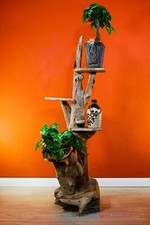 Root wood flower stand table - wood,